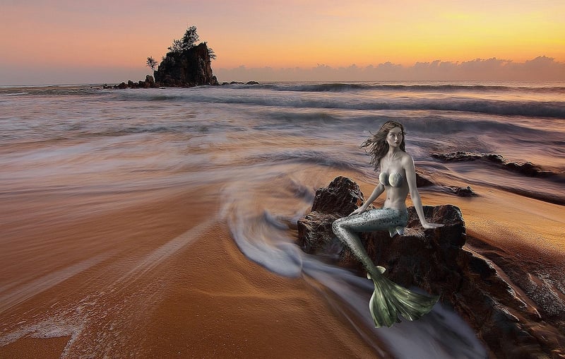 Mermaid Adventures